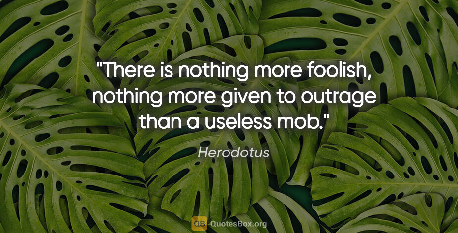 Herodotus quote: "There is nothing more foolish, nothing more given to outrage..."