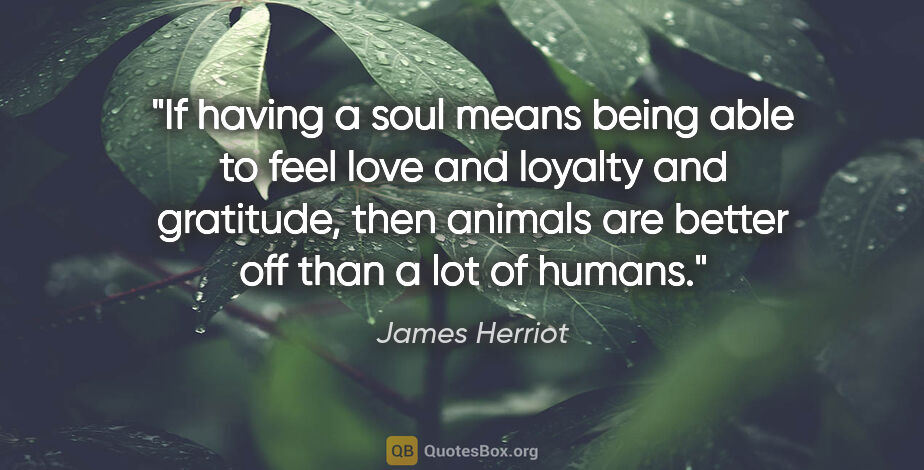 James Herriot quote: "If having a soul means being able to feel love and loyalty and..."