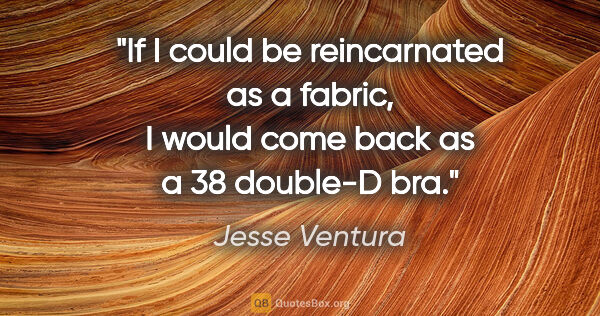 Jesse Ventura quote: "If I could be reincarnated as a fabric, I would come back as a..."