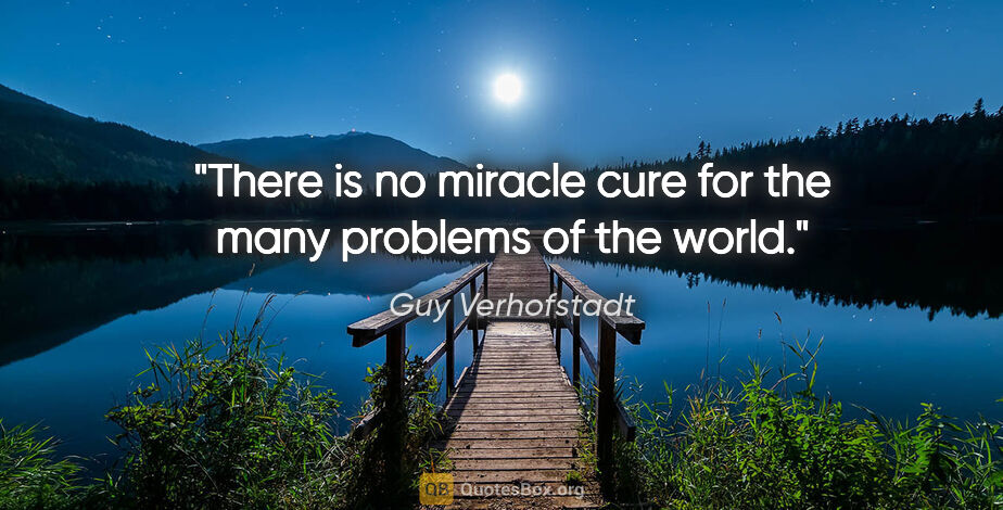Guy Verhofstadt quote: "There is no miracle cure for the many problems of the world."