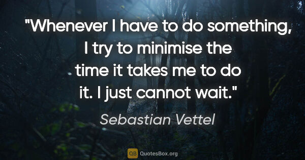 Sebastian Vettel quote: "Whenever I have to do something, I try to minimise the time it..."