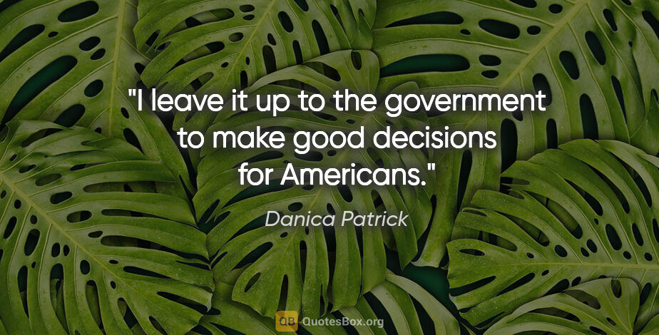 Danica Patrick quote: "I leave it up to the government to make good decisions for..."