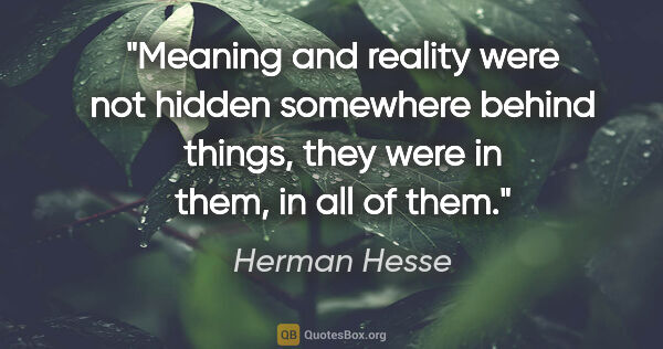 Herman Hesse quote: "Meaning and reality were not hidden somewhere behind things,..."