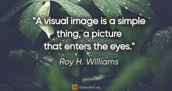 Roy H. Williams quote: "A visual image is a simple thing, a picture that enters the eyes."