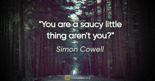 Simon Cowell quote: "You are a saucy little thing aren't you?"