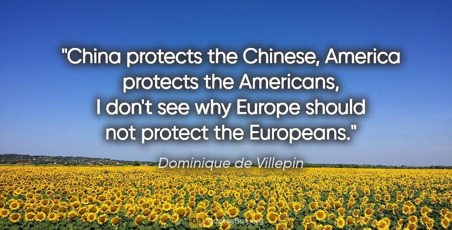 Dominique de Villepin quote: "China protects the Chinese, America protects the Americans, I..."
