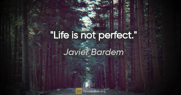 Javier Bardem quote: "Life is not perfect."