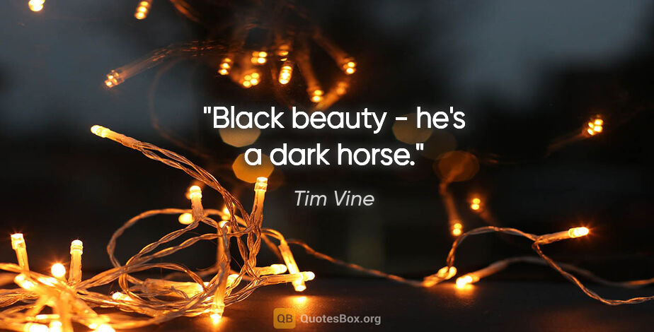 Tim Vine quote: "Black beauty - he's a dark horse."
