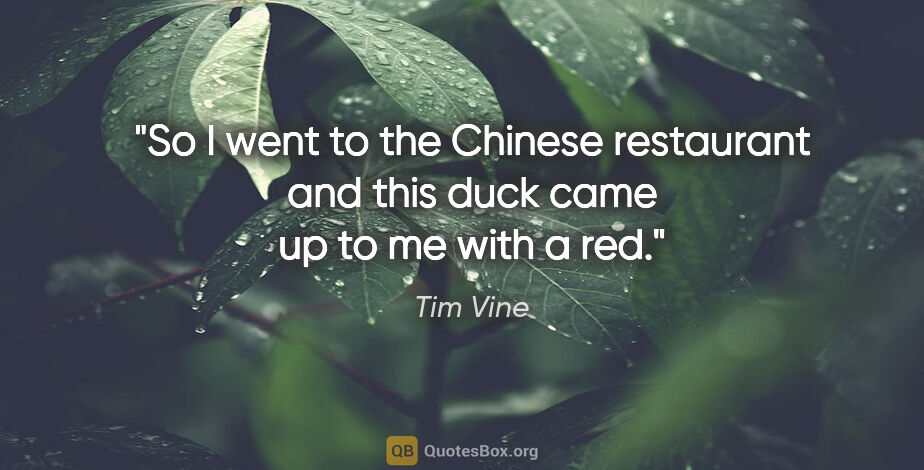 Tim Vine quote: "So I went to the Chinese restaurant and this duck came up to..."