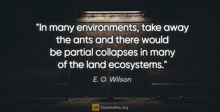 E. O. Wilson quote: "In many environments, take away the ants and there would be..."