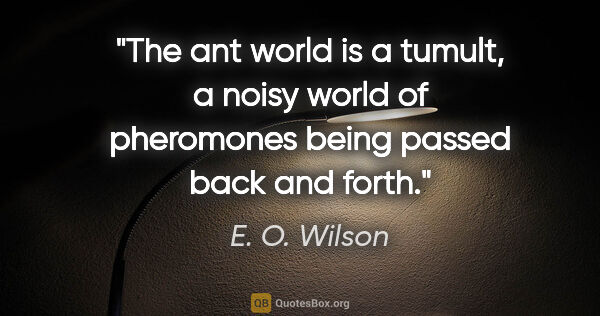 E. O. Wilson quote: "The ant world is a tumult, a noisy world of pheromones being..."