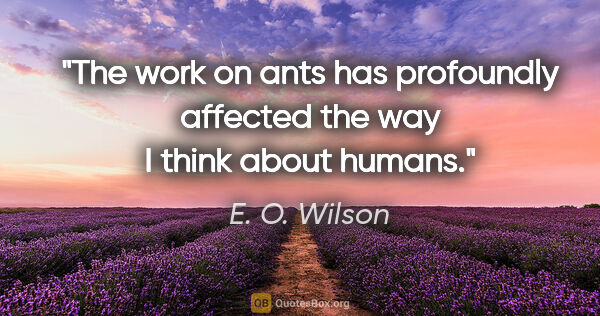 E. O. Wilson quote: "The work on ants has profoundly affected the way I think about..."