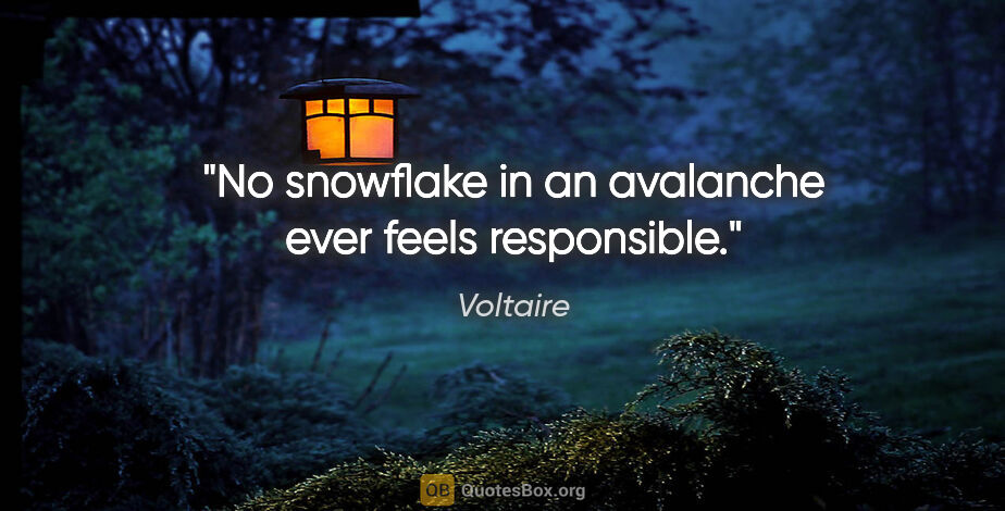 Voltaire quote: "No snowflake in an avalanche ever feels responsible."