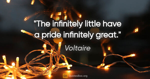 Voltaire quote: "The infinitely little have a pride infinitely great."