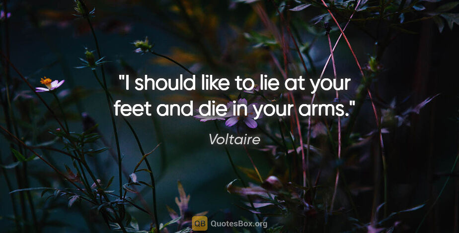 Voltaire quote: "I should like to lie at your feet and die in your arms."