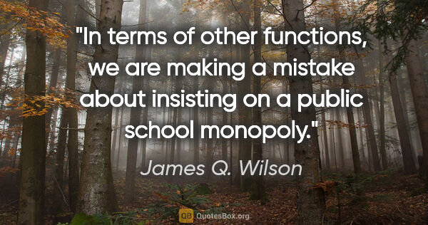 James Q. Wilson quote: "In terms of other functions, we are making a mistake about..."