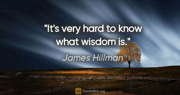 James Hillman quote: "It's very hard to know what wisdom is."