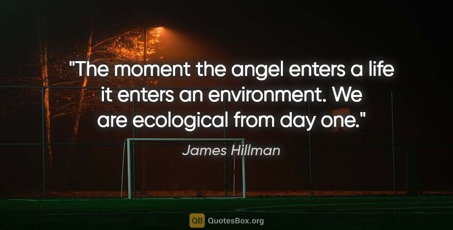 James Hillman quote: "The moment the angel enters a life it enters an environment...."