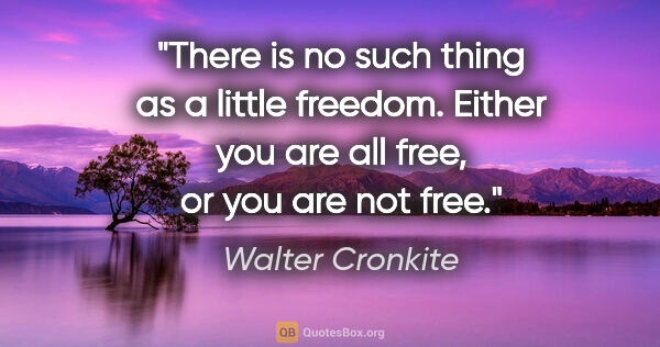 Walter Cronkite quote: "There is no such thing as a little freedom. Either you are all..."