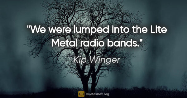 Kip Winger quote: "We were lumped into the Lite Metal radio bands."