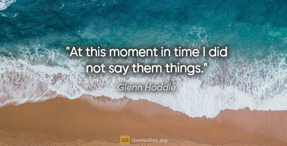 Glenn Hoddle quote: "At this moment in time I did not say them things."