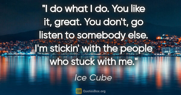 Ice Cube quote: "I do what I do. You like it, great. You don't, go listen to..."