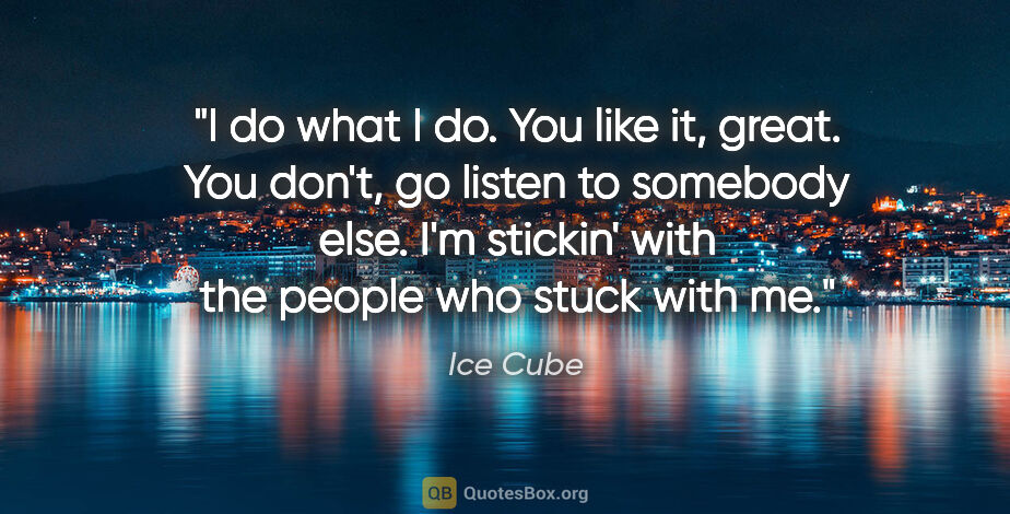 Ice Cube quote: "I do what I do. You like it, great. You don't, go listen to..."
