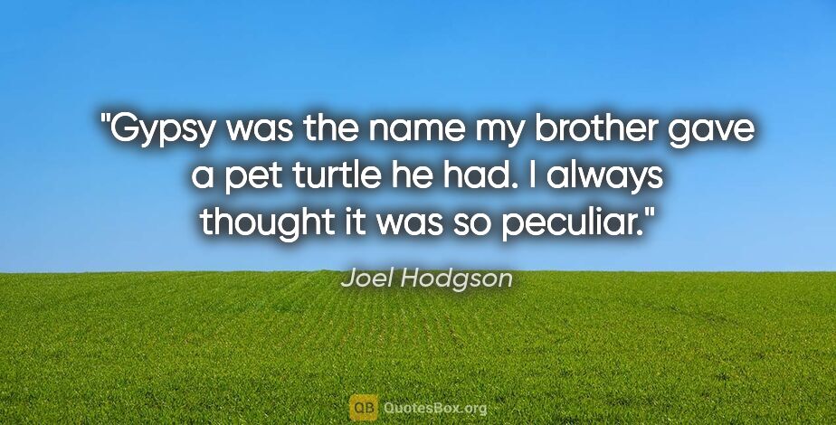 Joel Hodgson quote: "Gypsy was the name my brother gave a pet turtle he had. I..."