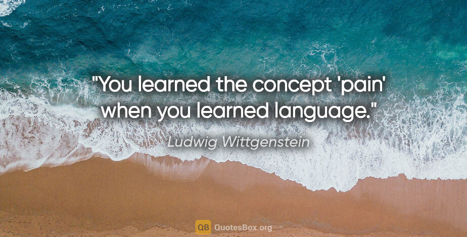 Ludwig Wittgenstein quote: "You learned the concept 'pain' when you learned language."
