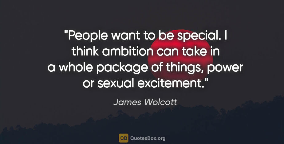 James Wolcott quote: "People want to be special. I think ambition can take in a..."