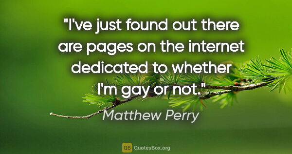 Matthew Perry quote: "I've just found out there are pages on the internet dedicated..."