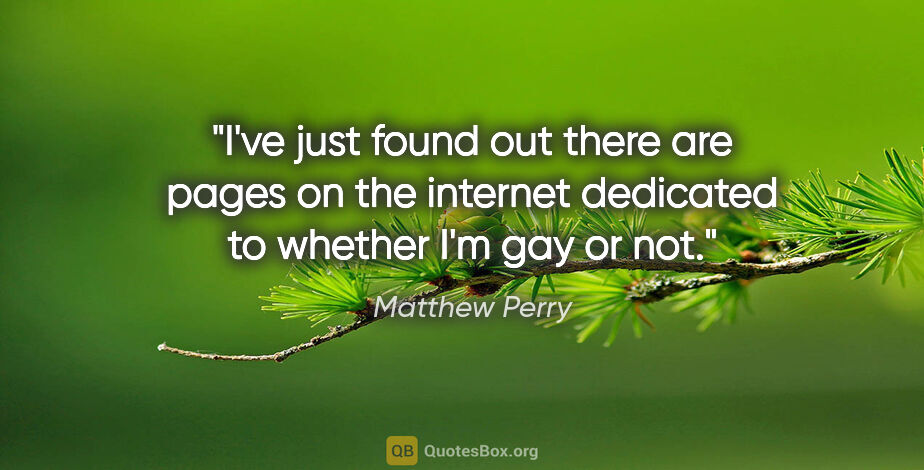 Matthew Perry quote: "I've just found out there are pages on the internet dedicated..."