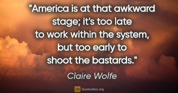 Claire Wolfe quote: "America is at that awkward stage; it's too late to work within..."