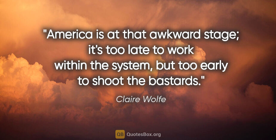 Claire Wolfe quote: "America is at that awkward stage; it's too late to work within..."