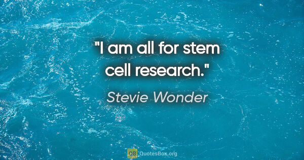 Stevie Wonder quote: "I am all for stem cell research."
