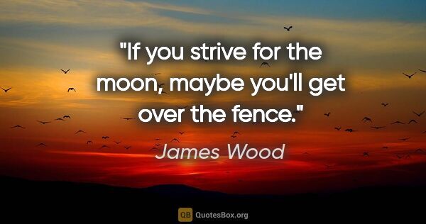 James Wood quote: "If you strive for the moon, maybe you'll get over the fence."