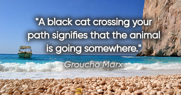 Groucho Marx quote: "A black cat crossing your path signifies that the animal is..."