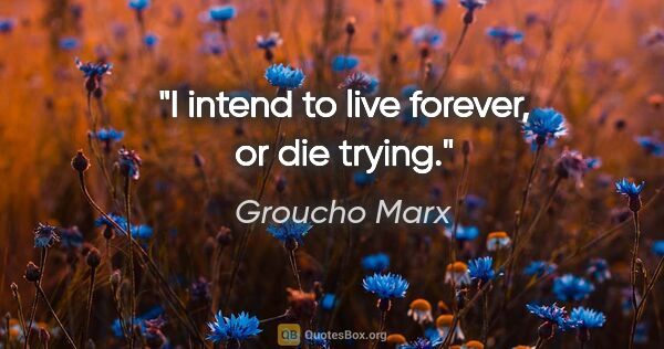 Groucho Marx quote: "I intend to live forever, or die trying."