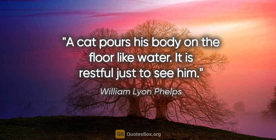 William Lyon Phelps quote: "A cat pours his body on the floor like water. It is restful..."