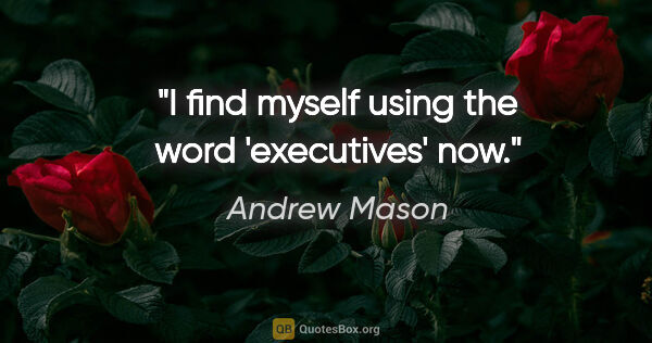 Andrew Mason quote: "I find myself using the word 'executives' now."