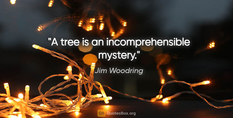 Jim Woodring quote: "A tree is an incomprehensible mystery."