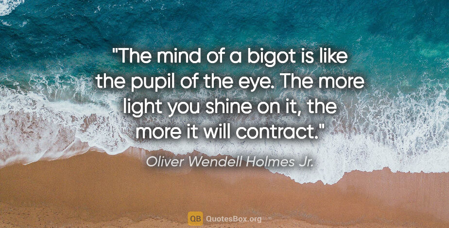 Oliver Wendell Holmes Jr. quote: "The mind of a bigot is like the pupil of the eye. The more..."