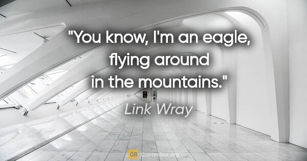 Link Wray quote: "You know, I'm an eagle, flying around in the mountains."