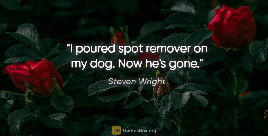 Steven Wright quote: "I poured spot remover on my dog. Now he's gone."