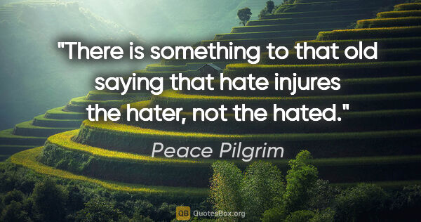 Peace Pilgrim quote: "There is something to that old saying that hate injures the..."