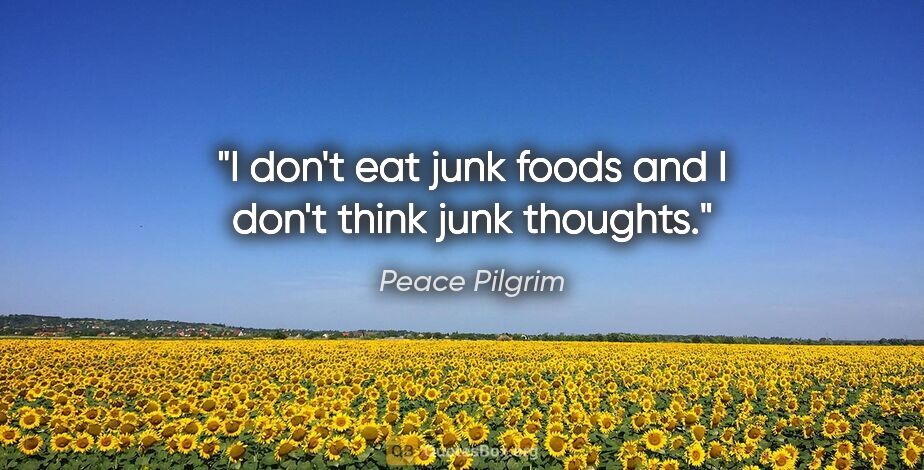 Peace Pilgrim quote: "I don't eat junk foods and I don't think junk thoughts."