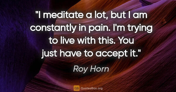 Roy Horn quote: "I meditate a lot, but I am constantly in pain. I'm trying to..."