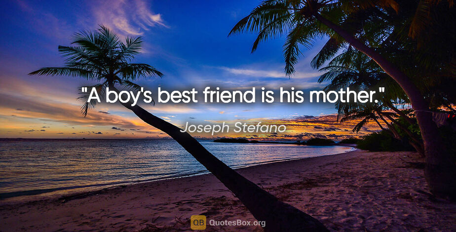 Joseph Stefano quote: "A boy's best friend is his mother."