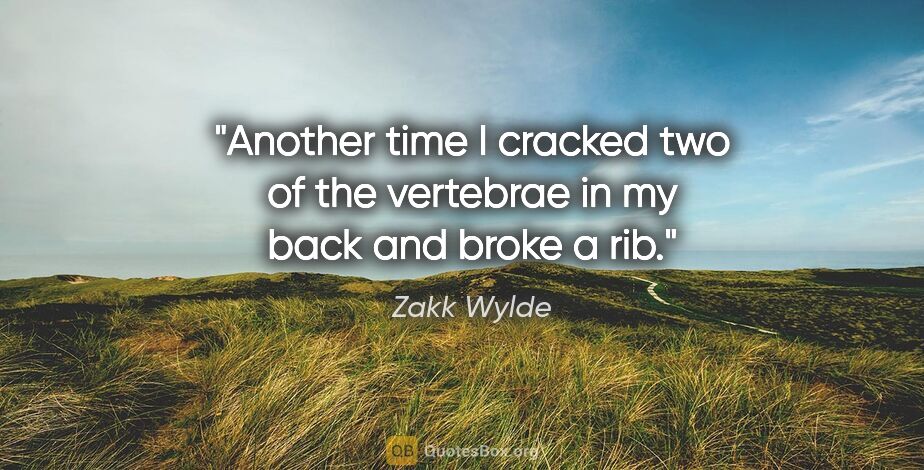 Zakk Wylde quote: "Another time I cracked two of the vertebrae in my back and..."