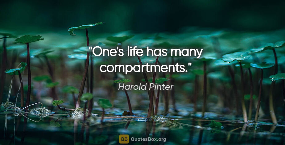 Harold Pinter quote: "One's life has many compartments."